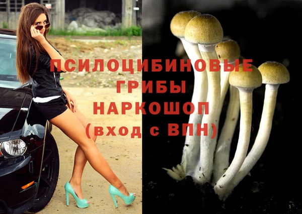 MESCALINE Белокуриха
