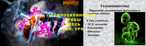 крисы Белоозёрский