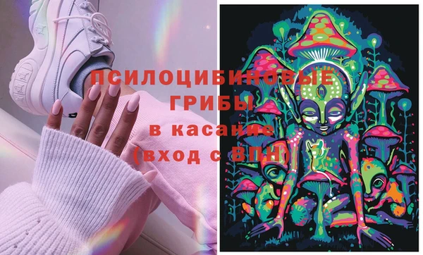 крисы Белоозёрский