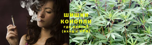 крисы Белоозёрский