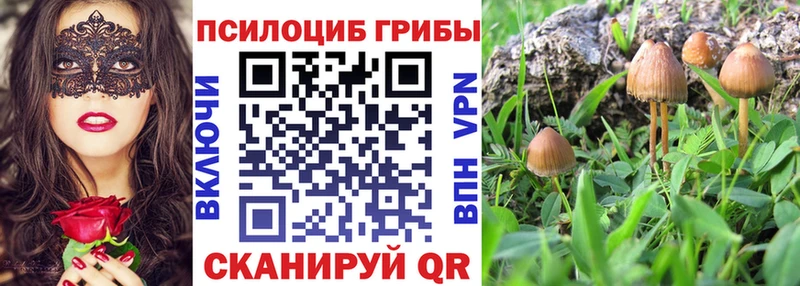 Галлюциногенные грибы Cubensis  Горячий Ключ 