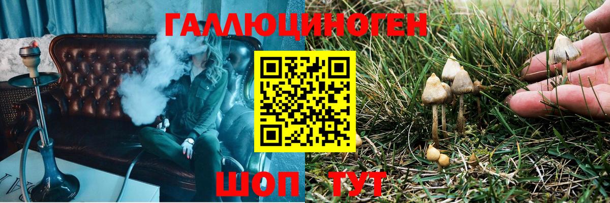 Псилоцибиновые грибы Psilocybine cubensis  Псилоцибиновые грибы мухоморы  Горячий Ключ  Вход с VPN 