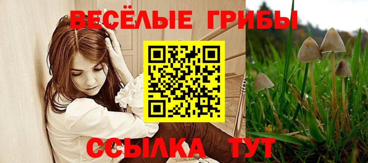 Галлюциногенные грибы GOLDEN TEACHER  Горячий Ключ 